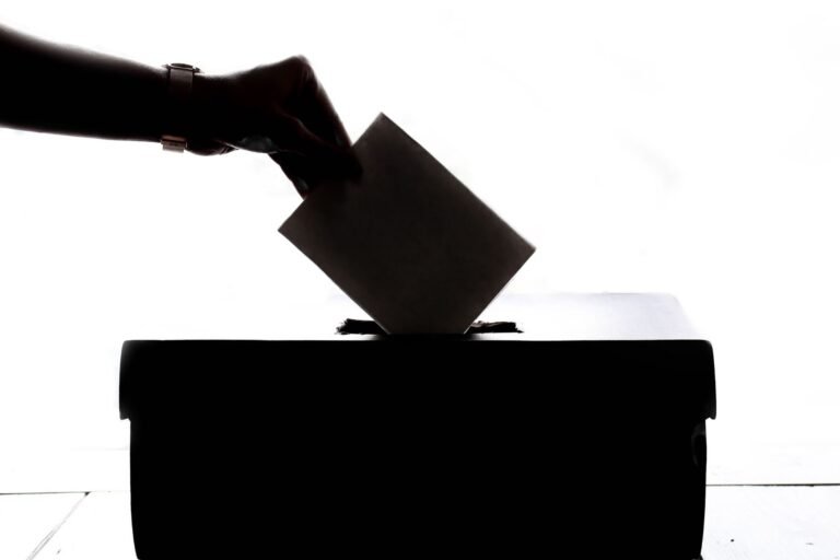 Referendum on dual citizenship in Lithuania – results