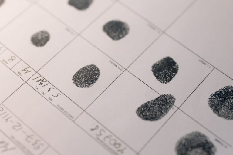 Residence permit applicants in Lithuania must submit a criminal record certificate