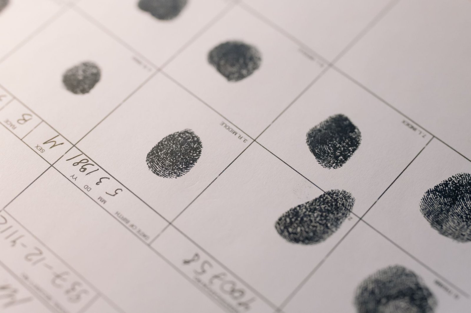 Fingerprints on an official document — identity verification